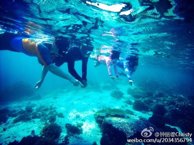 小猫钓鱼正版下载中文版