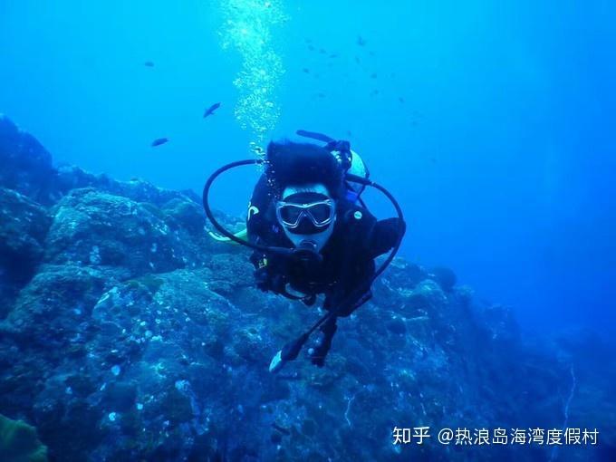 林黛玉骂贾宝玉“银样鑞枪头”,他究竟差在哪里?袭人讲出答案