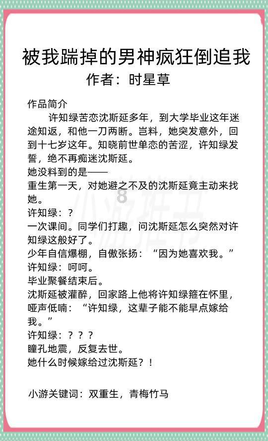 黑道圣徒4