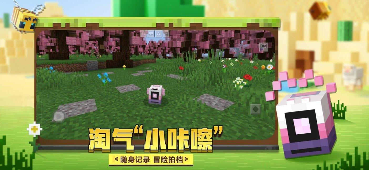 金牌保镖熊先生