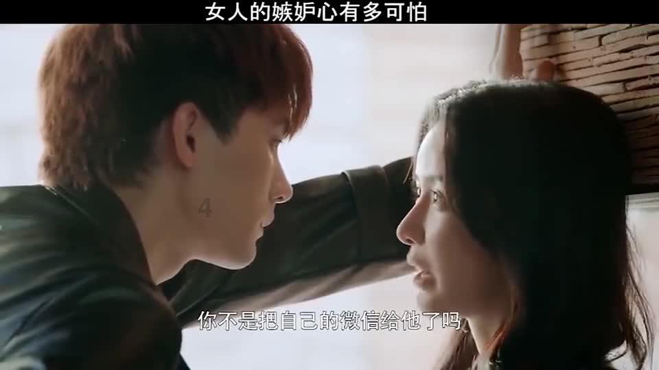 中储粮网2024年1月30日玉米竞价交易结果