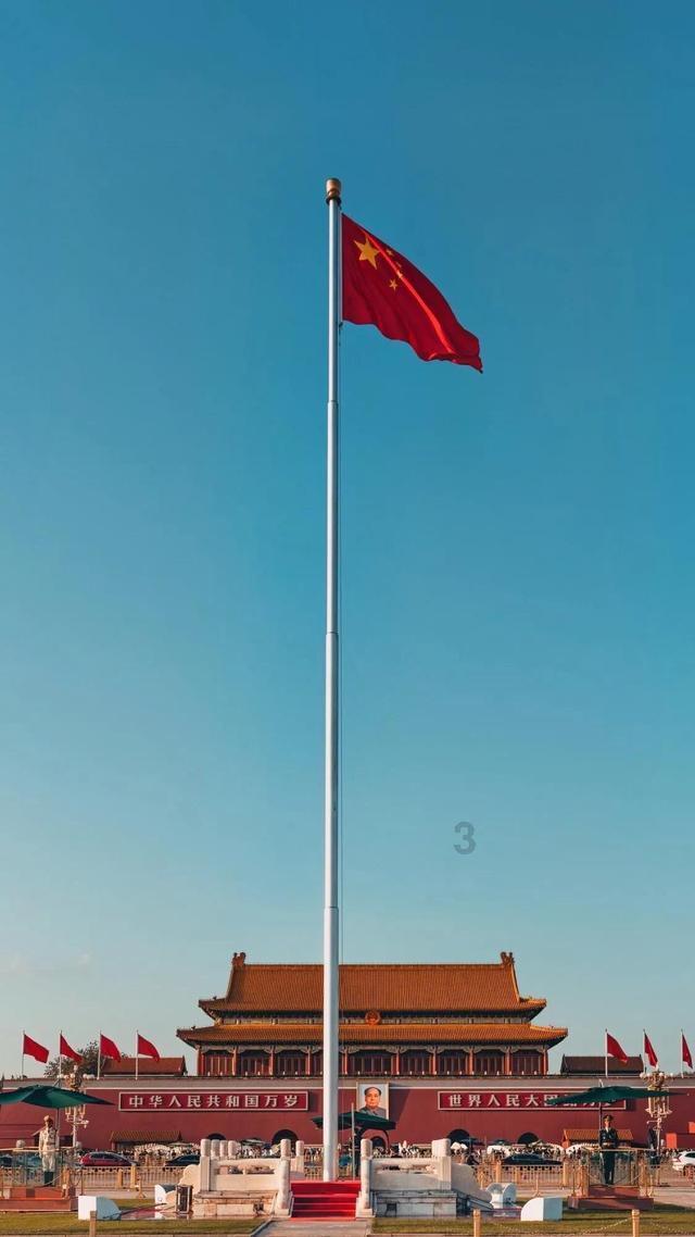 鲸搁浅三亚一天要吃40斤鱿鱼，救助人员：希望它尽快回归大海