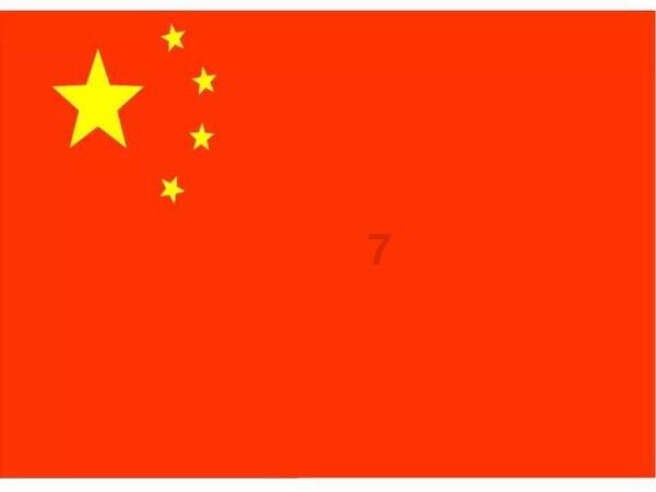 寂静森林找星星