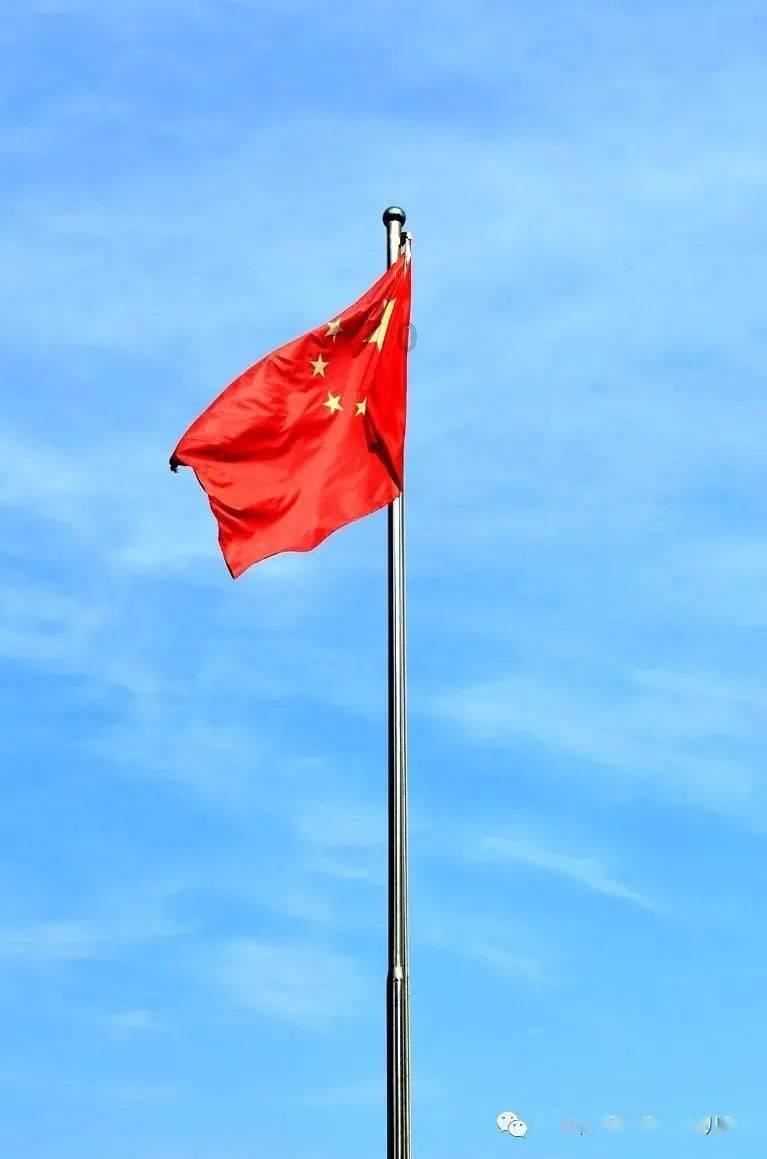 小长颈鹿逃离