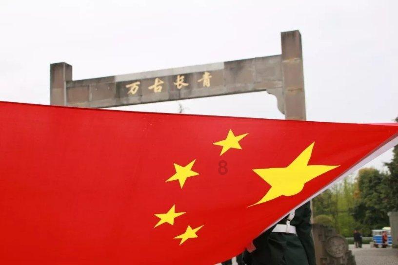 虫虫助手下载