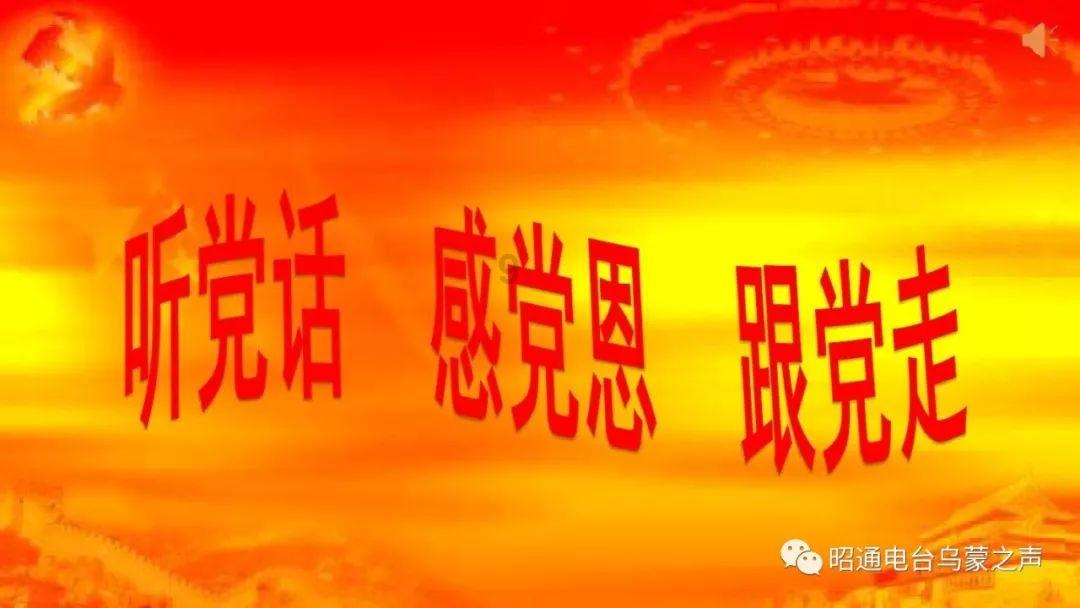 月光影视