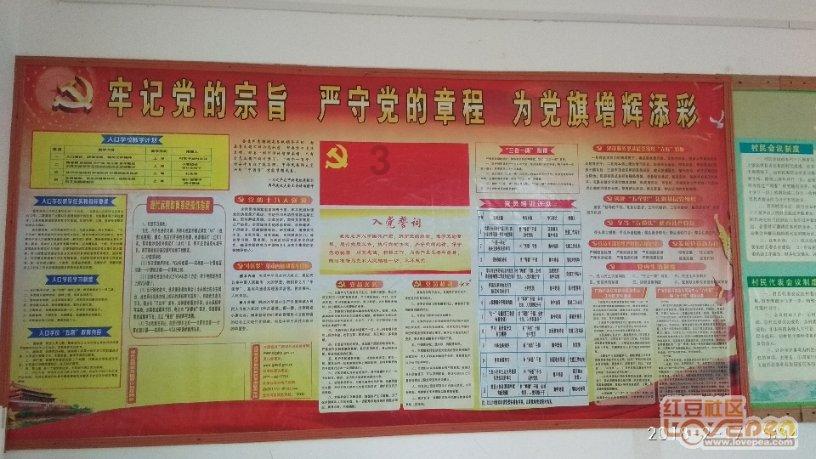 我的前半生:贺涵替罗子君揪出背后使坏的人,陈俊生去做亲子鉴定