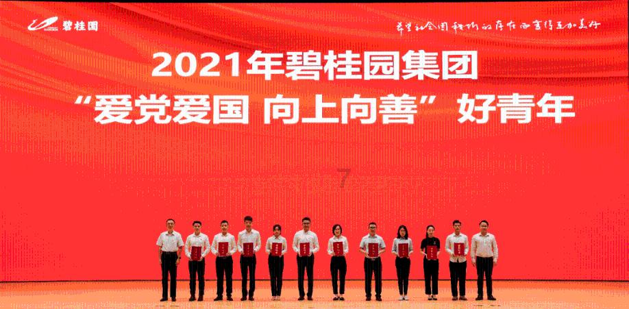 宁波港代理猫砂进口报关注意事项,进口申报流程科普