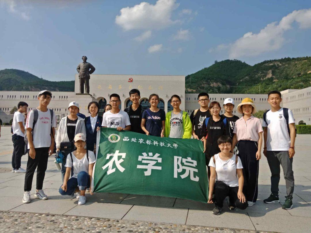 重装开业！沈阳文化路万达广场迎来核心商业“高光时刻”
