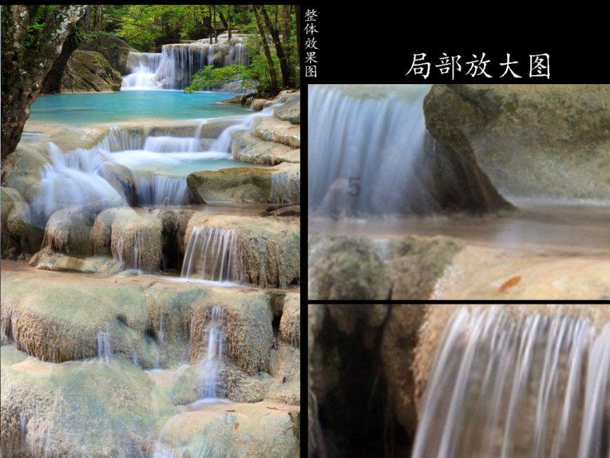 动物帮帮忙保卫家园