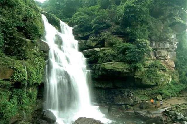 了解“小蝌蚪”的异常,别让孩子输在“起跑线”上