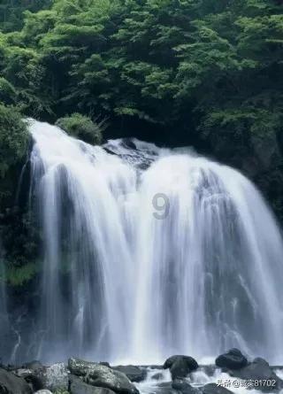 蓝狐视频