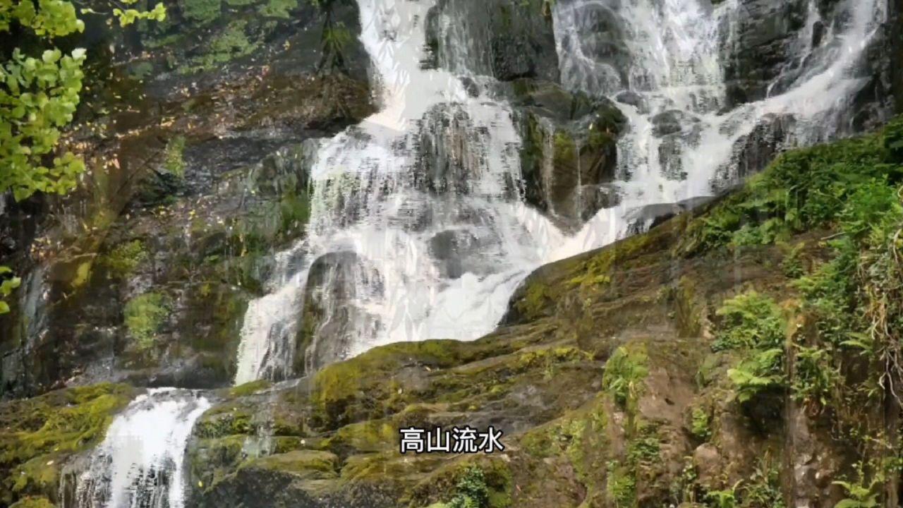 燃烧吧大脑装瓶子游戏