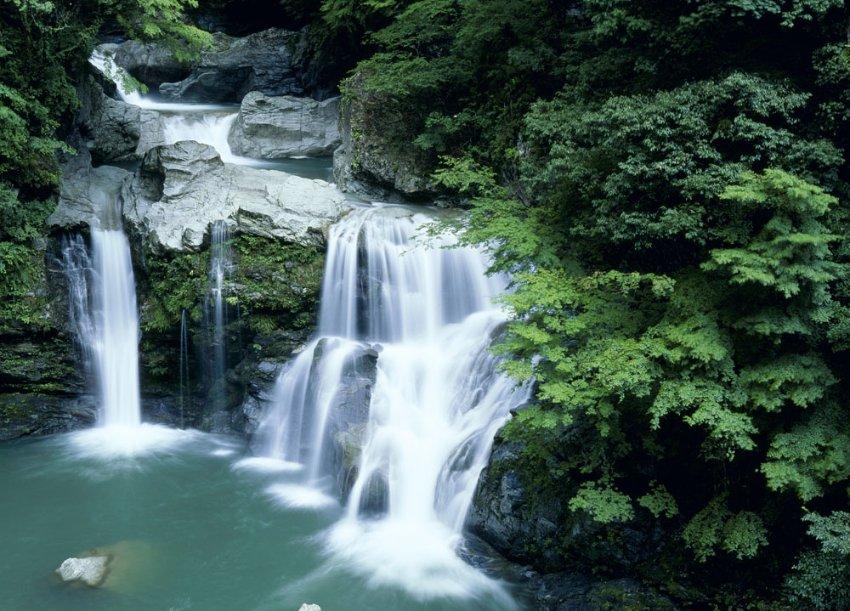 沪江开心词场