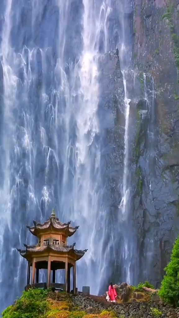逃离野丛之森