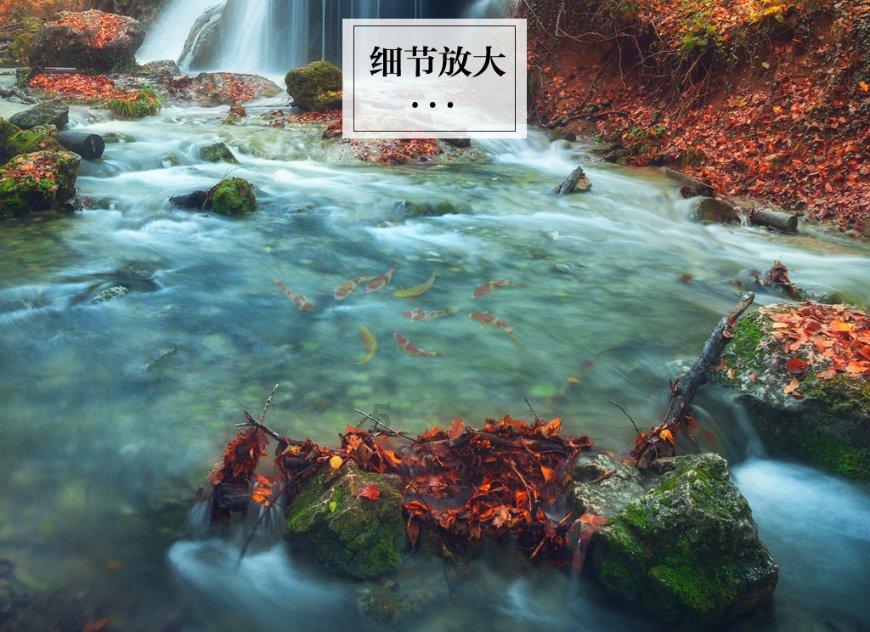 小猫钓鱼正版下载中文版