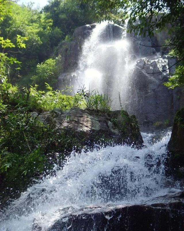 拯救红松鼠