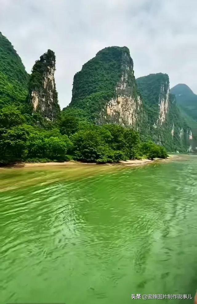咖啡豆的香精使用标准没有统一，供应链的畸变会导致哪些结果？