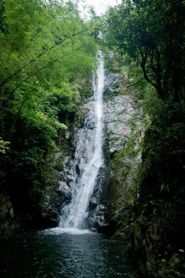 小红帽的冒险之旅