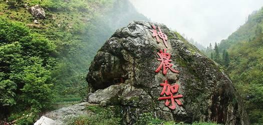 比亚迪海鸥上市首年即成爆款，获A00级年度销量冠军