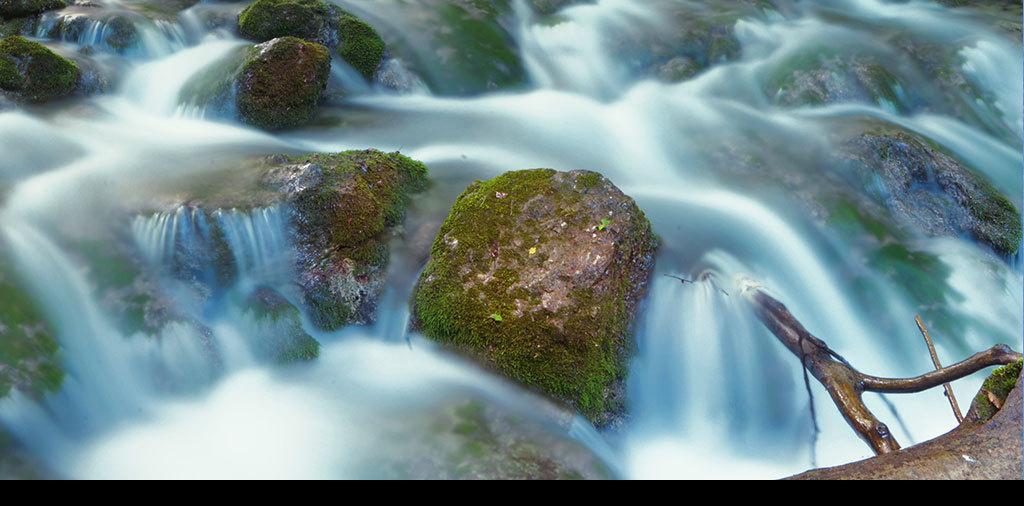加拿大湖发现神秘“水怪”，游动时出现奇怪波浪，它究竟是什么？