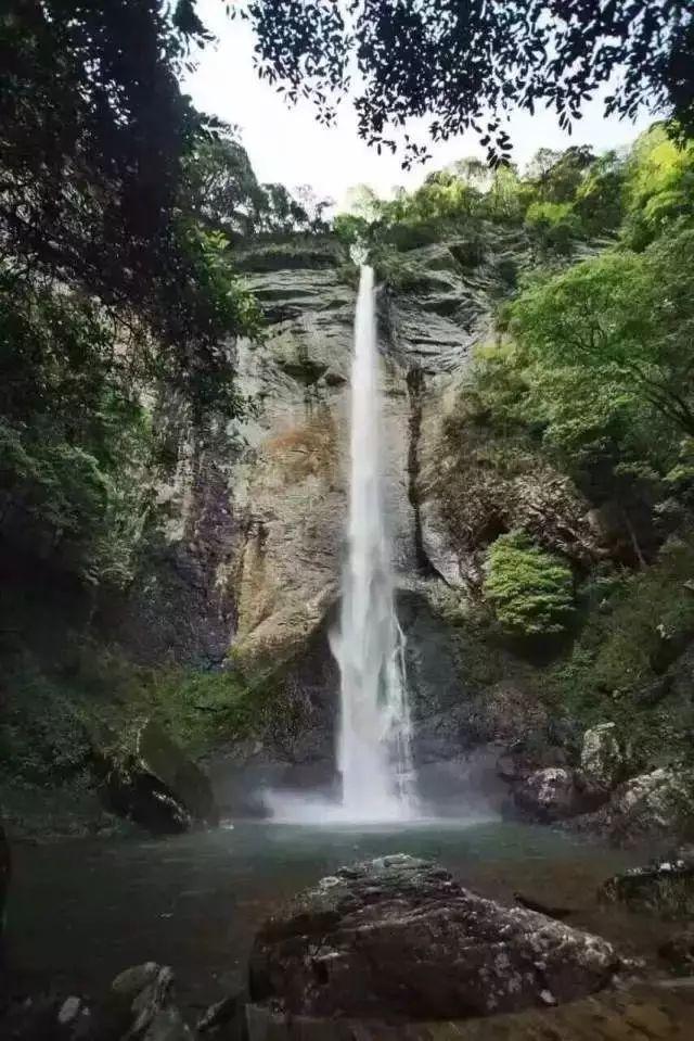 万词王