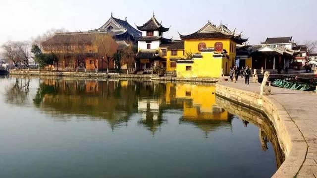 逃离大犀牛出没地