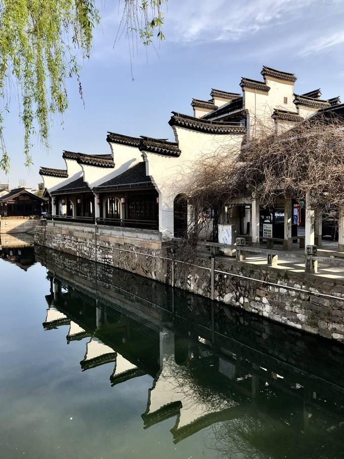 小黄牛彻夜未归竟是深陷泥潭 众人合力“拔牛”解救！