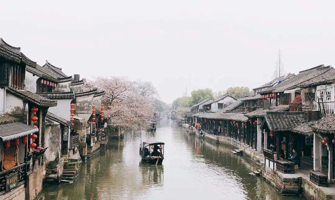 热巴粉丝抵制陈哲远?《枭起青壤》新剧风波揭秘