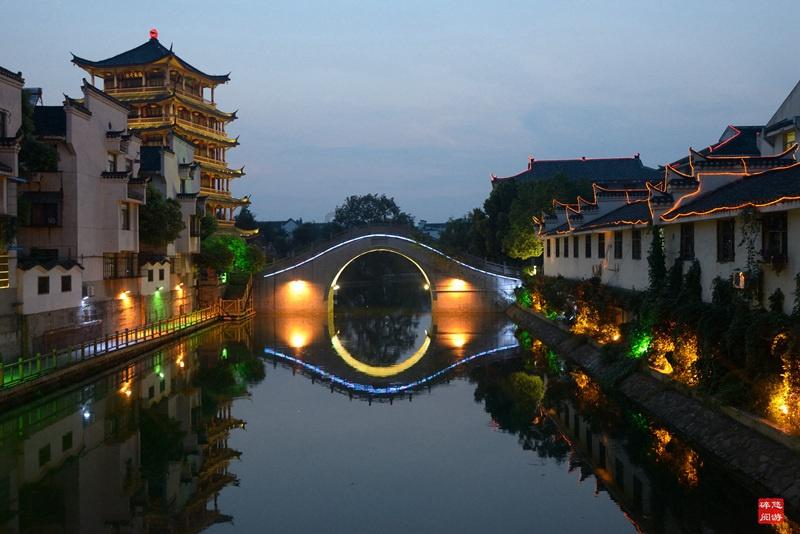 动物帮帮忙保卫家园