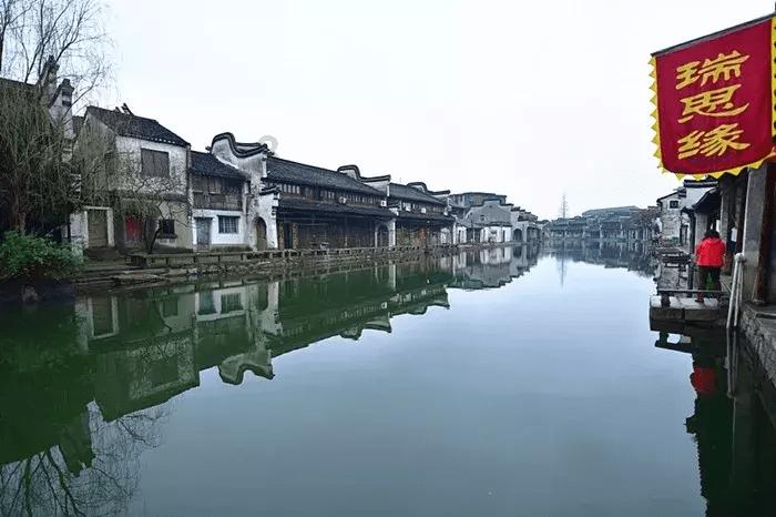 解救金刚鹦鹉