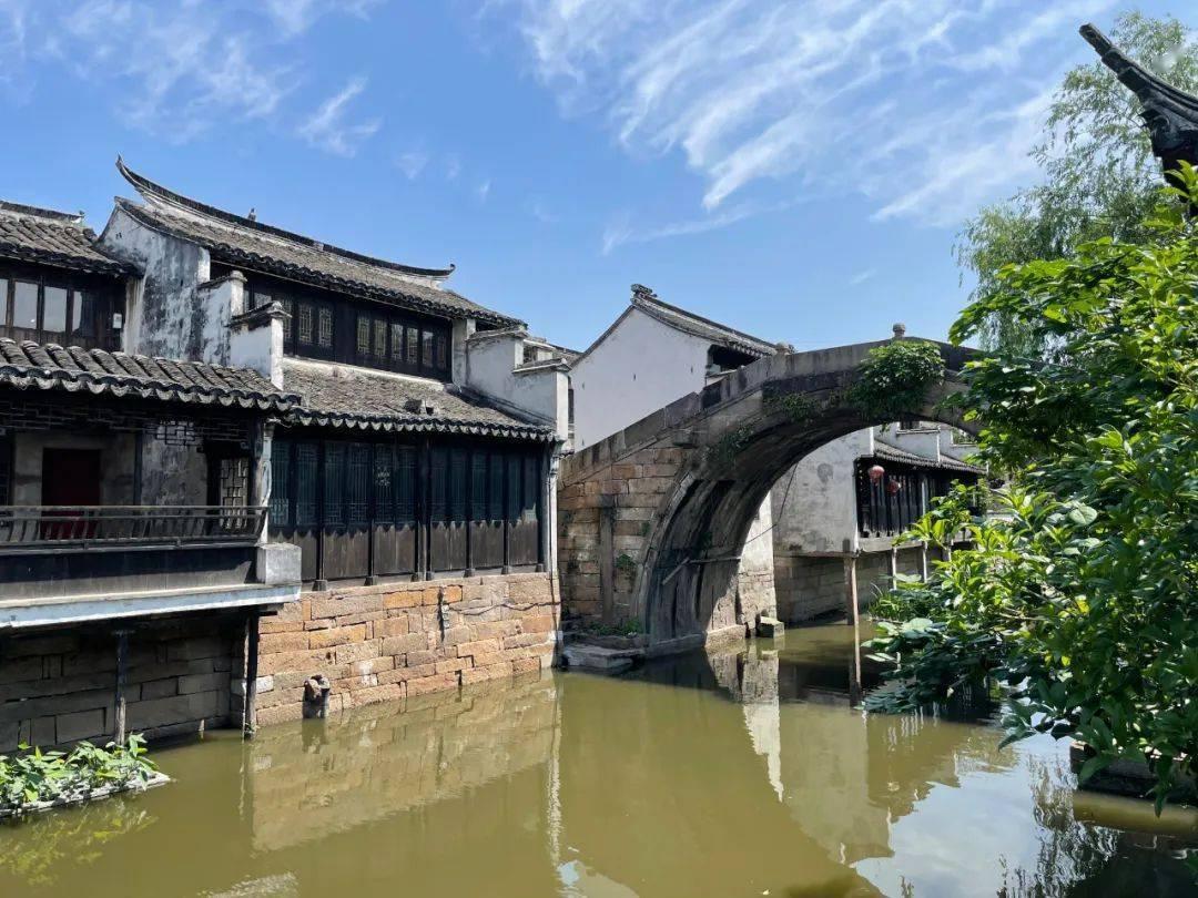 章鱼喷墨汁