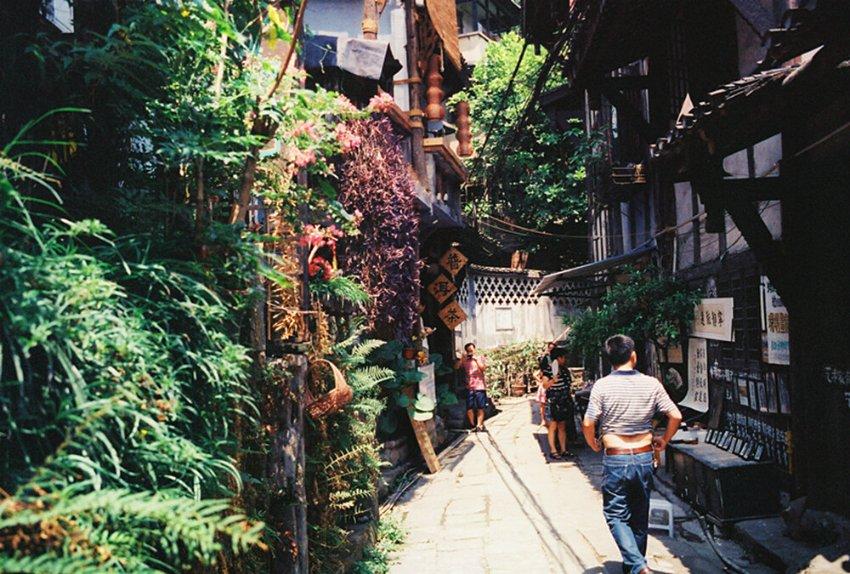 僵尸粉碎机