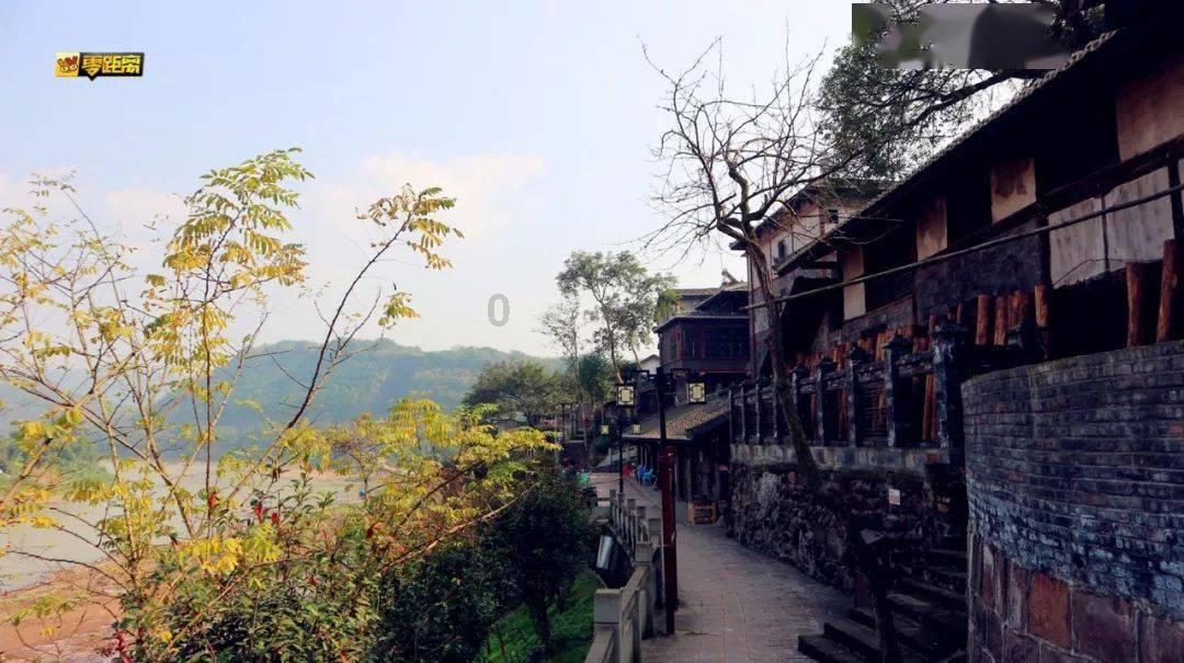 动物帮帮忙保卫家园