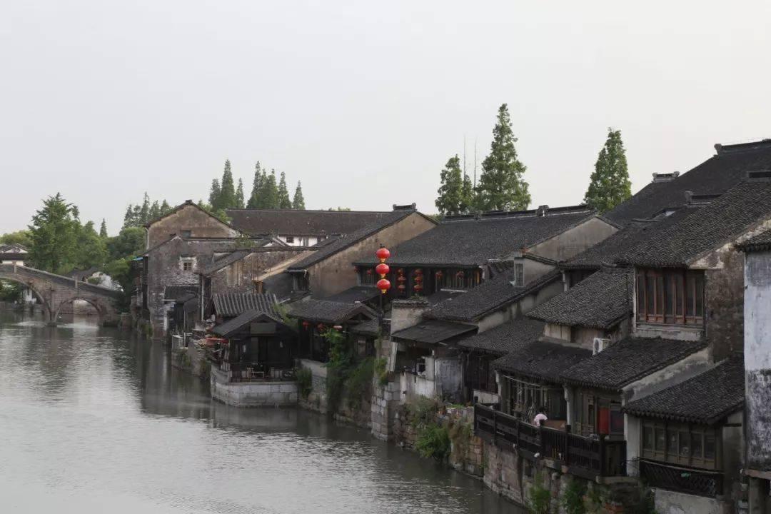 拯救红松鼠