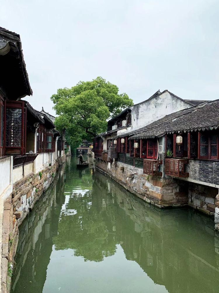中国儒学家开拓者圣人孔子长眠之地，孔林家族墓地