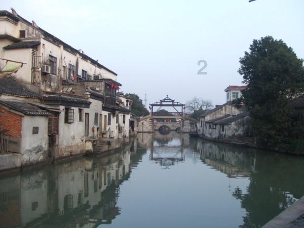 动物帮帮忙保卫家园