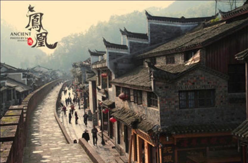 拯救卡通獾