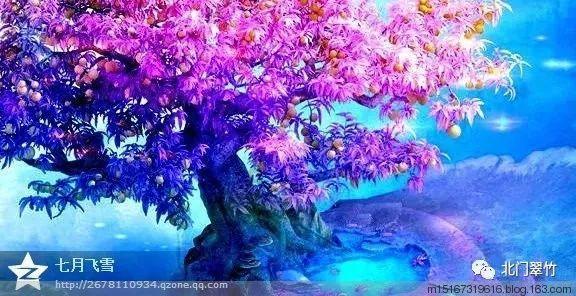 这一种积极向上的习惯,谁都能学会