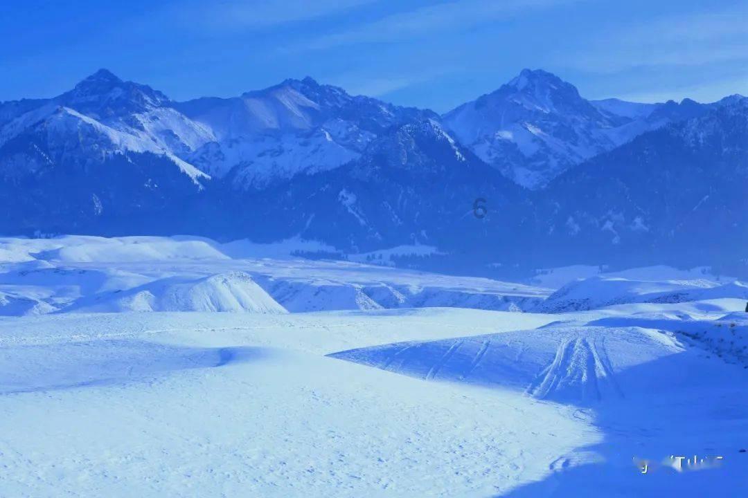 最高奖励30万元!萍乡多地发布有奖举报