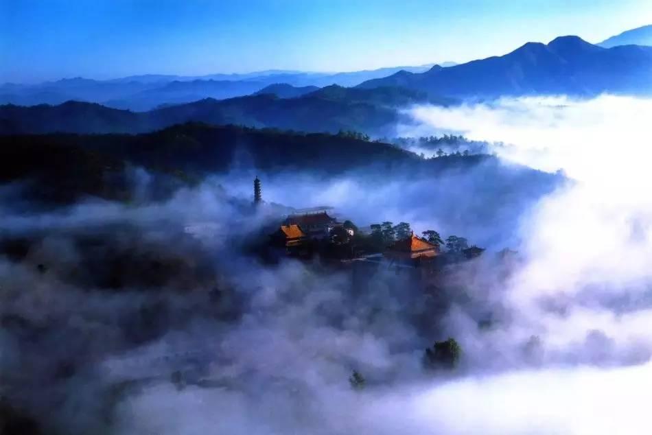 动物帮帮忙保卫家园